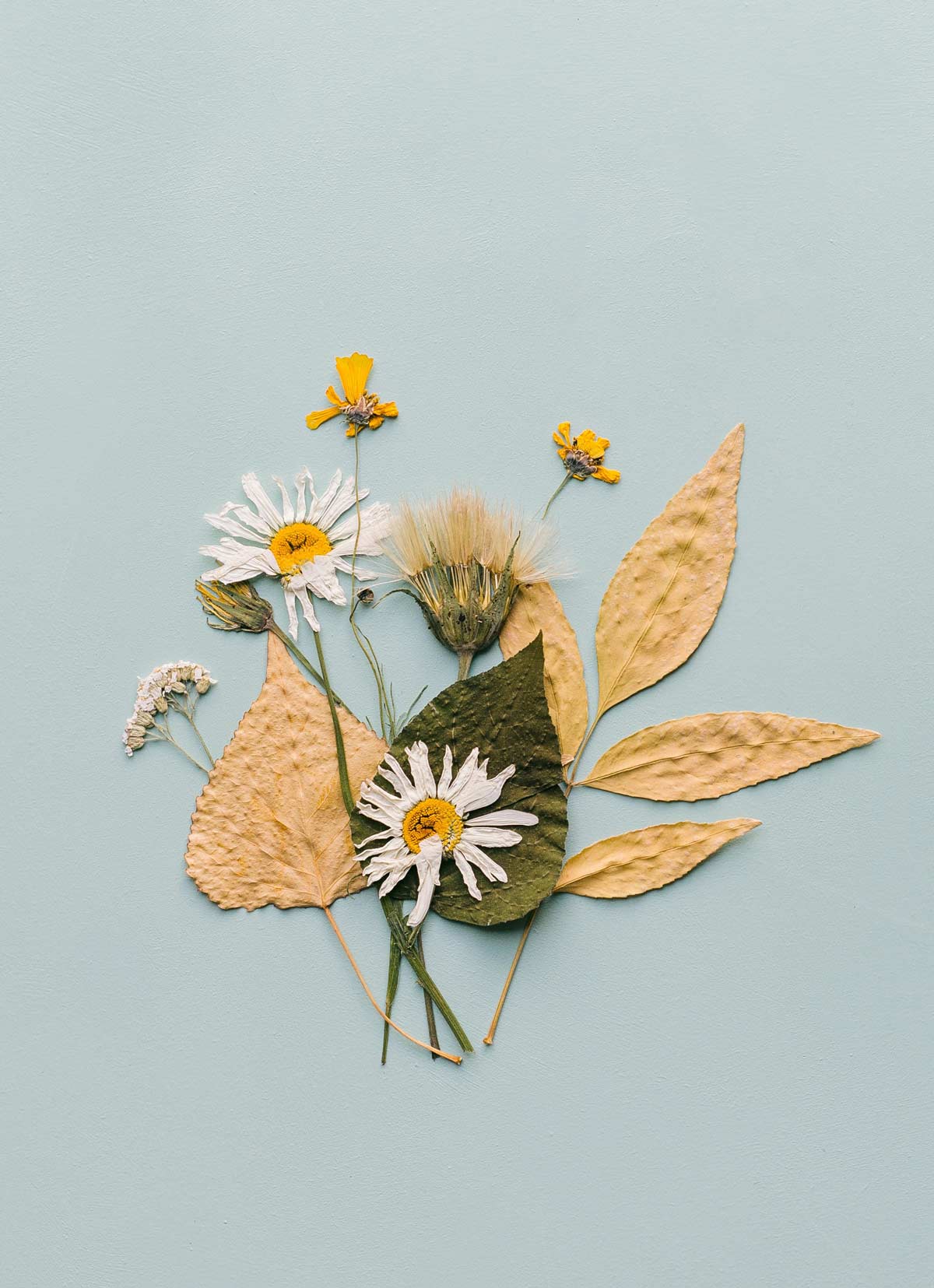 cary-bates-8lGVmnzv15o-unsplash